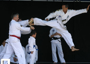 Reflections of Trinity Taekwon-Do