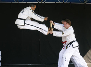 Reflections of Trinity Taekwon-Do