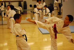 Reflections of Trinity Taekwon-Do